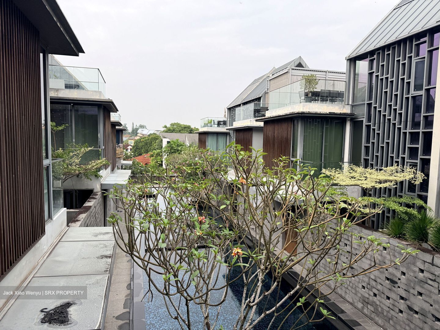 Toh Crescent (D17), Terrace #635946841